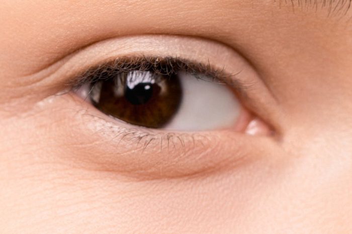 Detailed close-up of a woman's eye How to Achieve Glowing Skin: Expert Tipsfeaturing a natural eyebrow and flawless skin for beauty concepts.